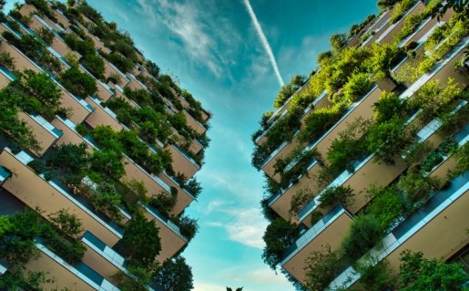 Apartment Design: From Concept to Creation